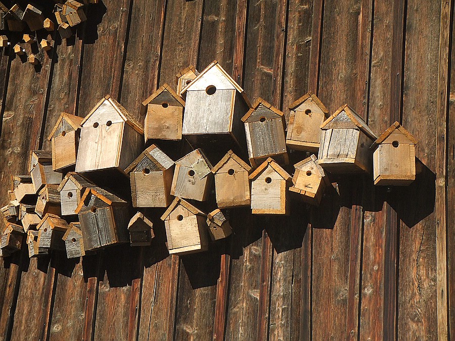 Haus Antonie - Ferienwohnungen in Füssen im Allgäu - Vogelhäuschen