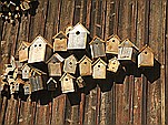 Haus Antonie - Ferienwohnungen in Füssen im Allgäu - Vogelhäuschen